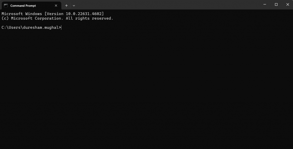 Screenshot of the command prompt