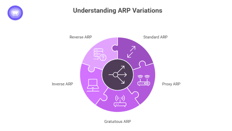 Visual showing different ARP types: Standard ARP, Proxy ARP, Gratuitous ARP, Inverse ARP, and RARP with their basic roles.